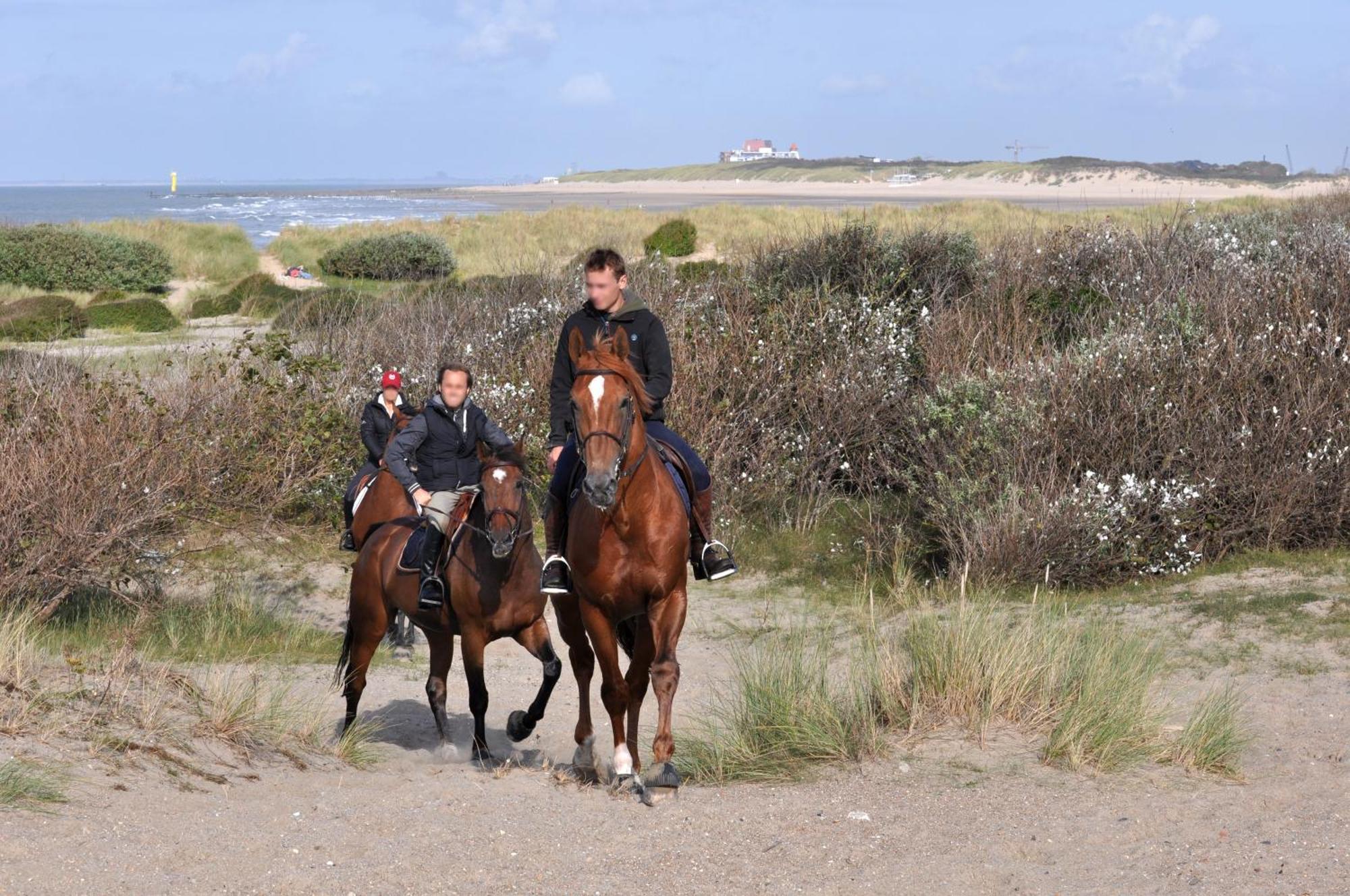 B&B Aquavit Knokke-Heist Exteriör bild